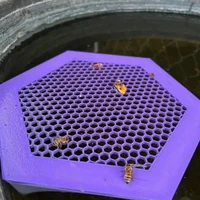 Floating Bee Island-Bee Waterer Hexagonal Bee Insect Drinking Tray Acrylic Beekeeping Setups Luring insects Waterer Catcher Cups 6