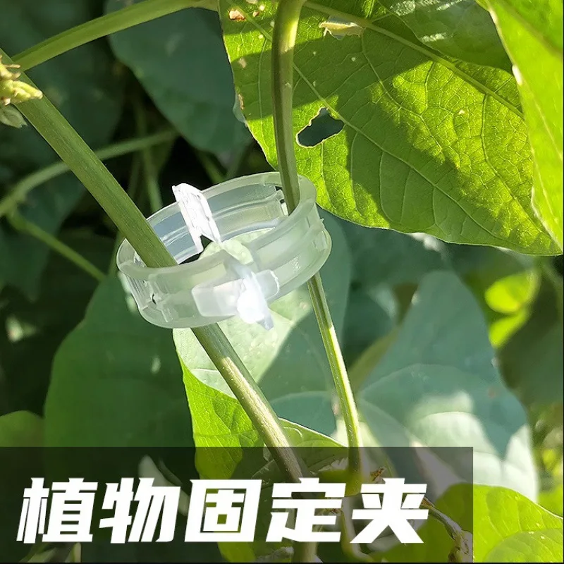 

10pcs Melon Fruit Plants Fixation Clip Plastic Support Cirrus Clamp Graden Tool