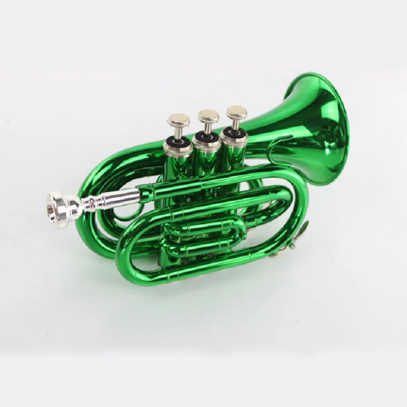 Pocket Green Palm Instrument for Beginner, Western Wind Instrument, B Flat, Manufacturers,