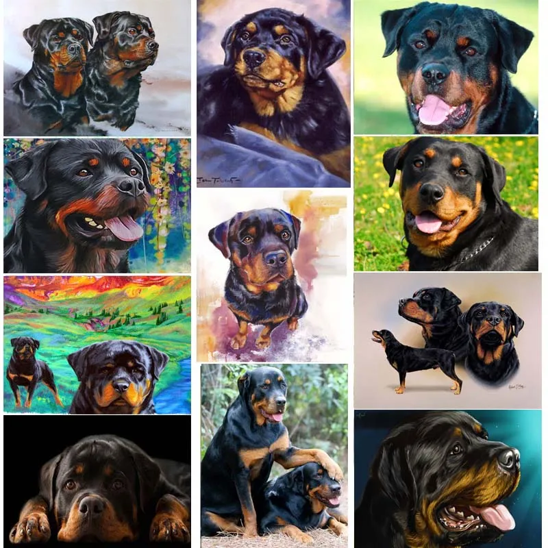 Diamant Painting Rottweiler Hund DIY 5D | Vollbild Diamant Malerei Set Für Erwachsene & Kinder