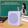 Portable Bee Amplifier Bluetooth USB Drive Teacher Mall Tour Guide Loudspeaker Player 3