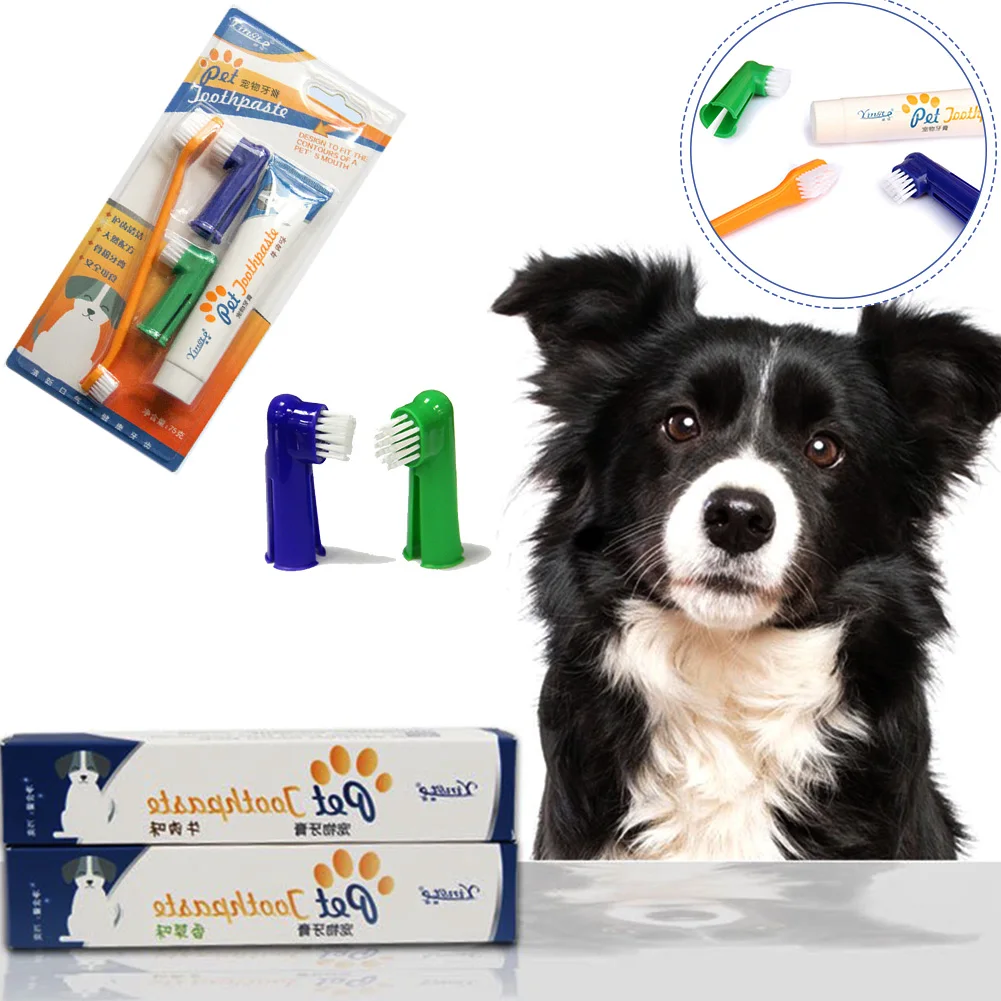 Arm & Hammer For Pets For Dogs Contains Toothpaste, Toothbrush
