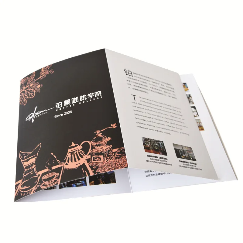 

Customized product.Promotional Printed Flyer/Leaflet/Catalogue/Booklet Printing Service