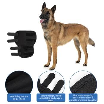 Dog Hock Joint Support Sleeve 1