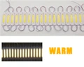 Warm White