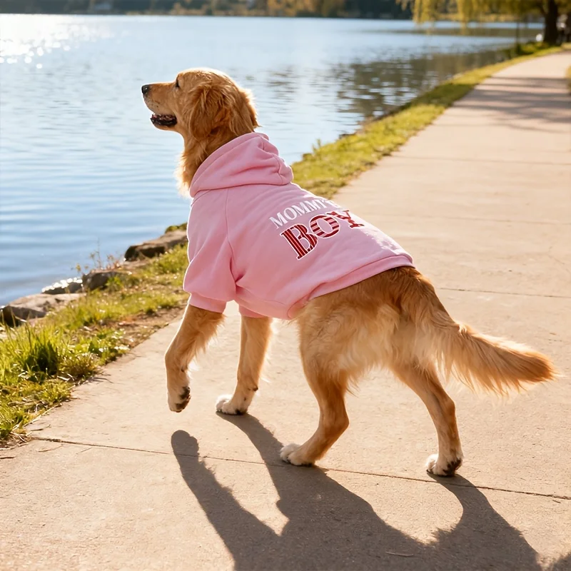 Scfbb516952374701ad897a92949806a8o