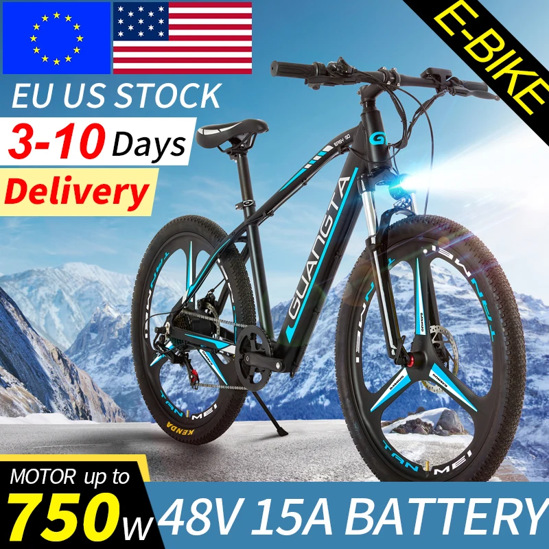 Electric Bike F1 48v15a 