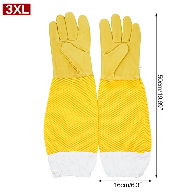 XXXL Large size