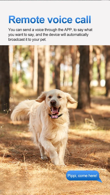 Collier GPS pour chien sans abonnement D87 [Réseaux 4G]