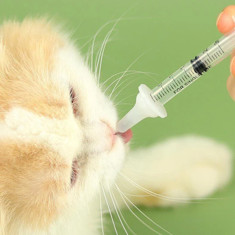 Pet Newborn Feeding Bottle Nipple Syringes kitty Pussy Puppy Nursing Feeder Set Silicone Bionic Pacifier Dropship 5