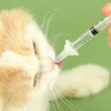 Pet Newborn Feeding Bottle Nipple Syringes kitty Pussy Puppy Nursing Feeder Set Silicone Bionic Pacifier Dropship 5