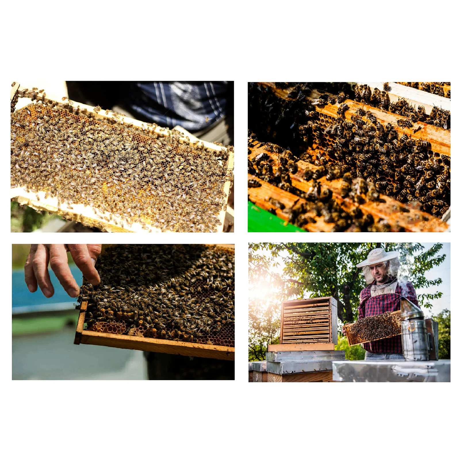 4-Colors-Silicone-Beeswax-Mat-Mold-Honeycomb-Silicone-Mould-DIY-Mould-Honeycomb-Beekeeper-Base-Plate-Embossing.jpg 4 Színű Szilikon Méhviasz Szőnyeg Penész Méhsejt Diy Méhész Alaplemez Dombornyomás 420X220 Mm - Image 2