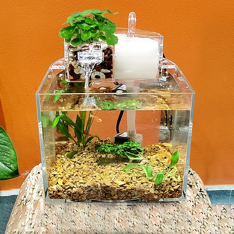 水槽 TenNobu 水槽 TenNobu Amazon | 小型水槽、プラスチッククリアマイクロ