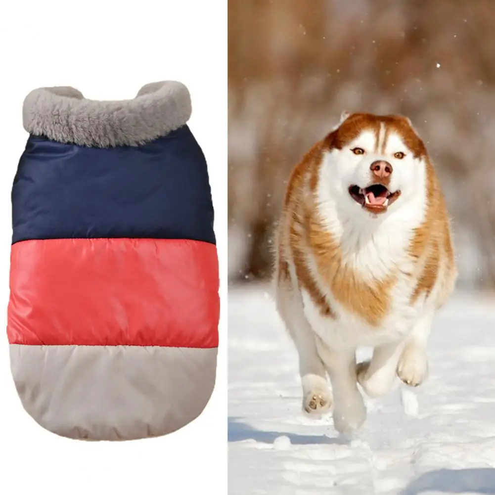 Casual Lovely Color Matching Pet Cotton Coat Long Lasting Dog Clothes Soft Everyday Clothing