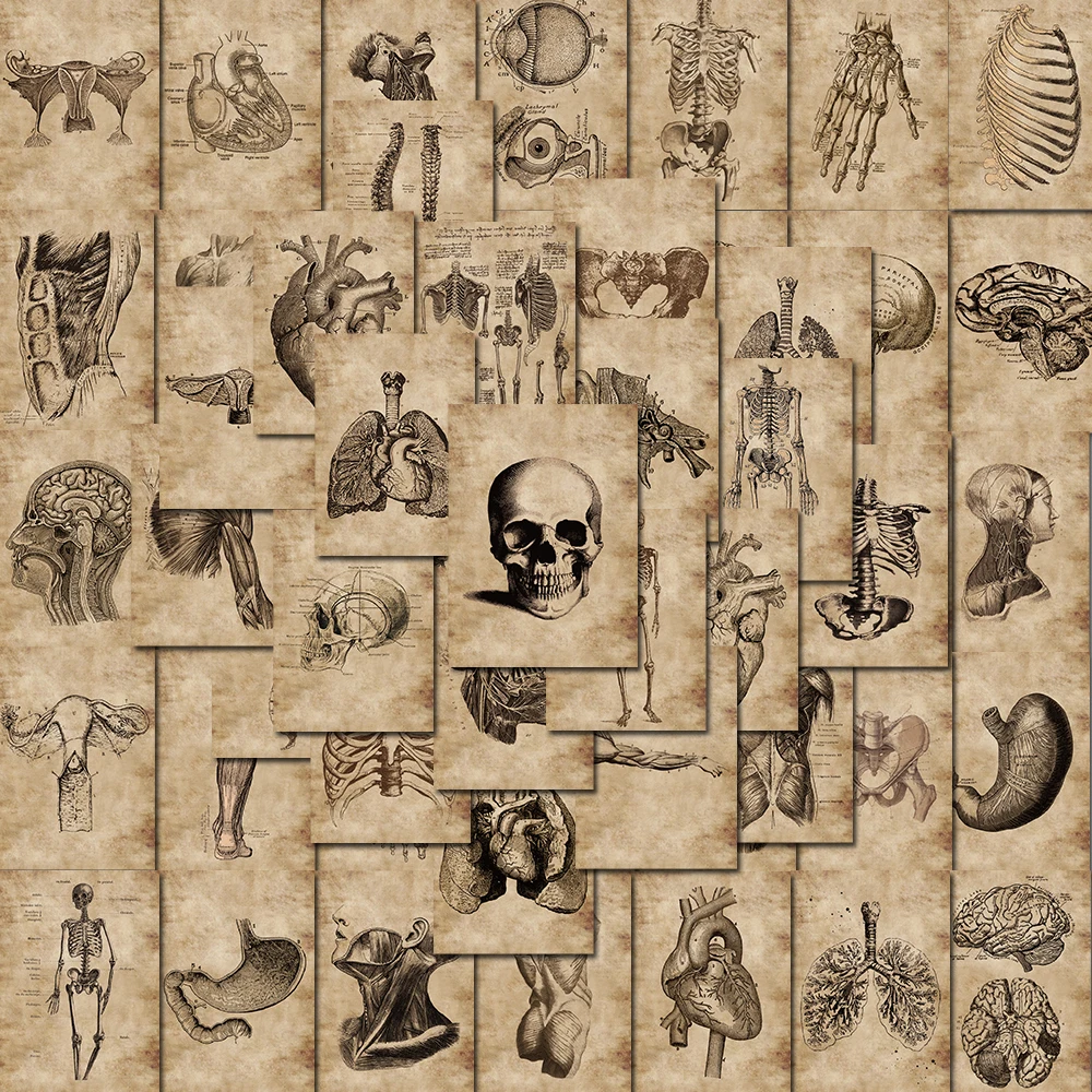 ذ Ʈ  ƼĿ, Ƽ DIY Ʈ Ϲ  Ʈ  ׷Ƽ, 56 