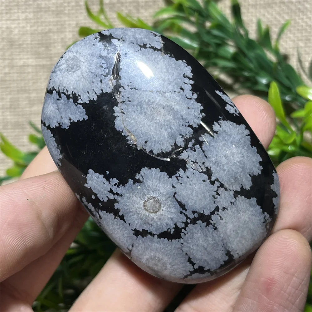 Natural Crystal Snowflake Black Obsidian Palm  Stone Crystal  Reiki High Quality Beauty Healing Quartz Minerals Home Decoration 2