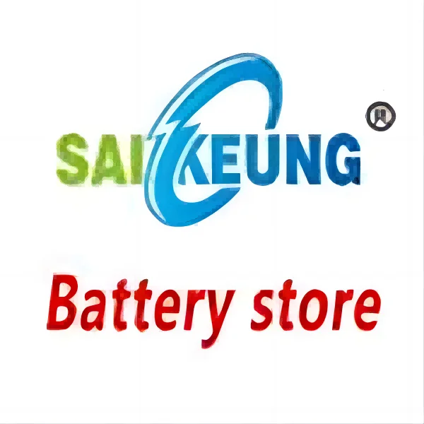 Saikeung Bicycle Battery Store