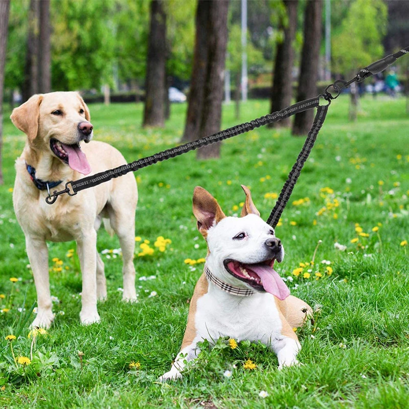 Pet Two-Head Leash One Tow Two Walking Dog Leash Retractable High Elastic Luminous Two Dog Leash