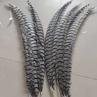 10pcs Lady Amherst pheasant feather 80-100 cm Long 3