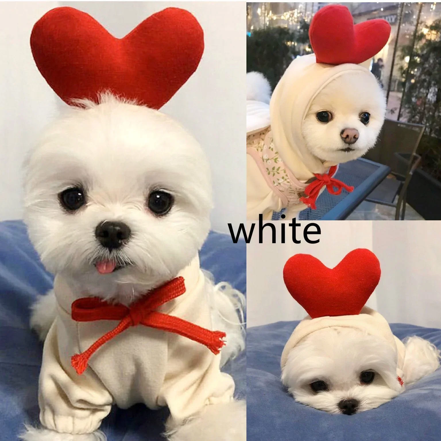 Suéter para perros Ropa fina para mascotas Ropa para perros y gatitos Suéter de frutas Perros Gatos Frutas Mascotas Suéteres de otoño e invierno