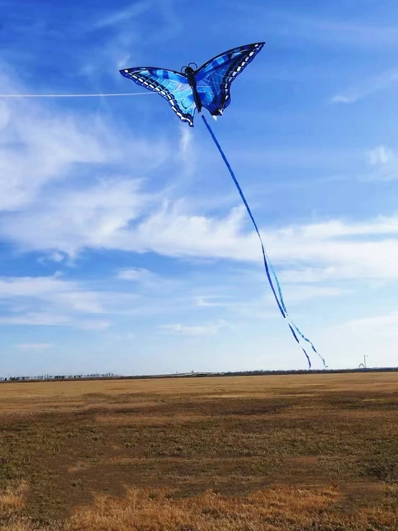 Butterfly Kites Flying Toys for Children Kite Line Nylon Kites Factory Professional Wind Parachute Windsurf