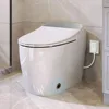 Smart Toilet, Tankless Toilet, Heated Seat, Foot Sensor Flush, White Night Light, Power Off Flush Bathroom, One Piece Toilets 1
