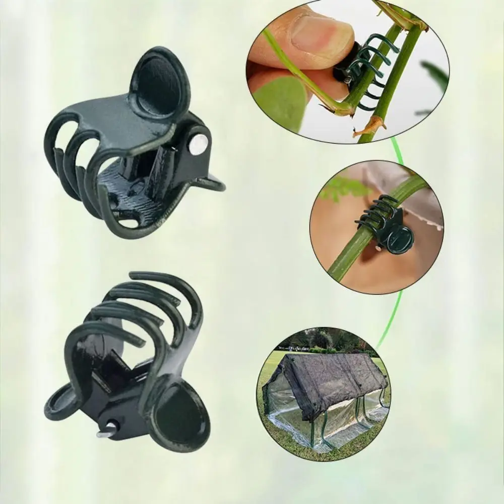 Vine Grafting Plant Clips 6-Claw Orchid Clips for Orchid Flower Support plastic plant clips plant clips