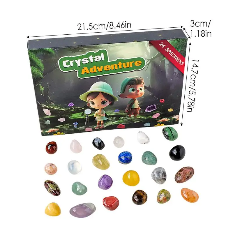 강림절 달력 크리스털 락 컬렉션, 천연석 24 일 강림절 달력, 교육용 보석 발굴 키트, 보석 수집