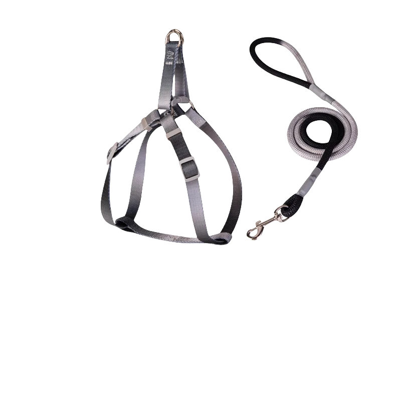 Adjustable Indoor/Outdoor Pet Leash and Harness Set – Break-Free Design, Vibrant Colors