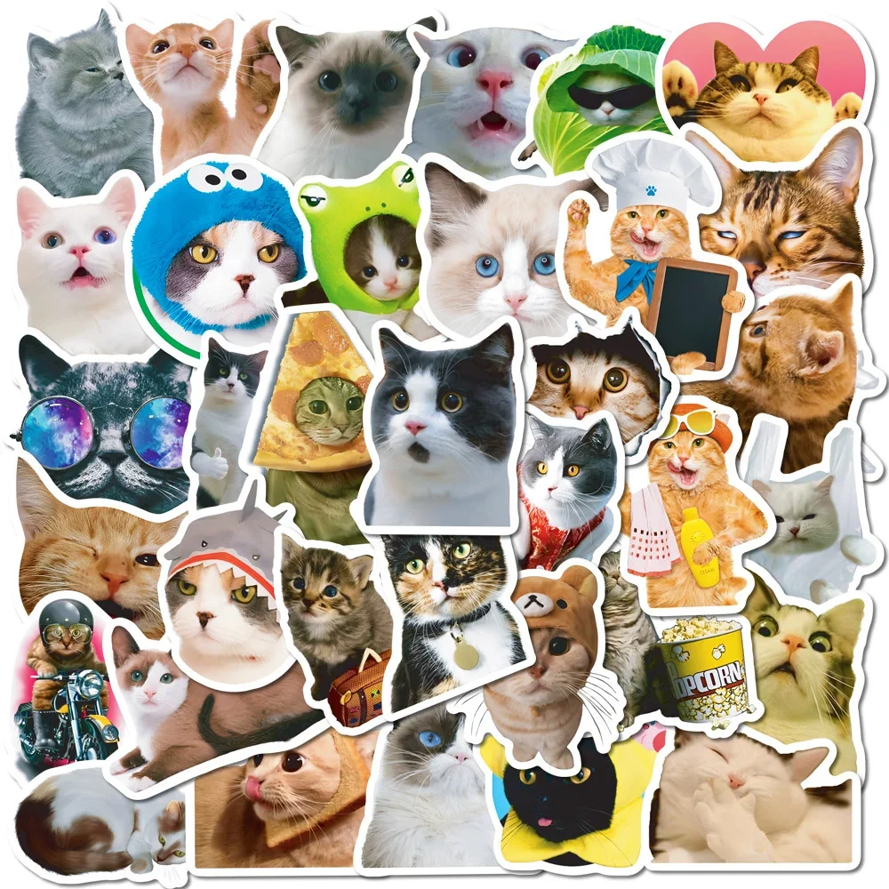 

10/30/50PCS New Cat Animal Sticker Pack Cartoon Creative Animation iPad Luggage Table Car Chair Decoration Waterproof Wholesale