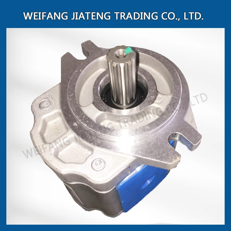 Pompa Ad Ingranaggi Muslimex Per Trattori Agricoli Per Macchine Agricole Foton Lovol