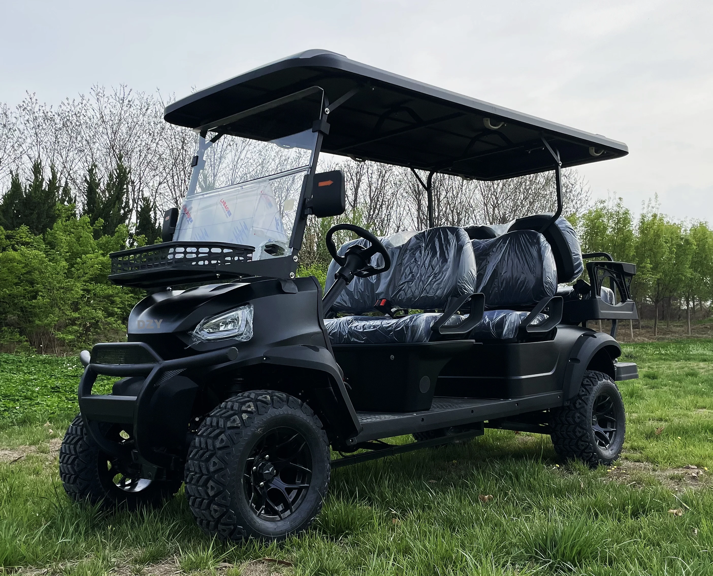 Direct of New Design Manufacturers Single Seat Electric Golf Cart for Household Travel