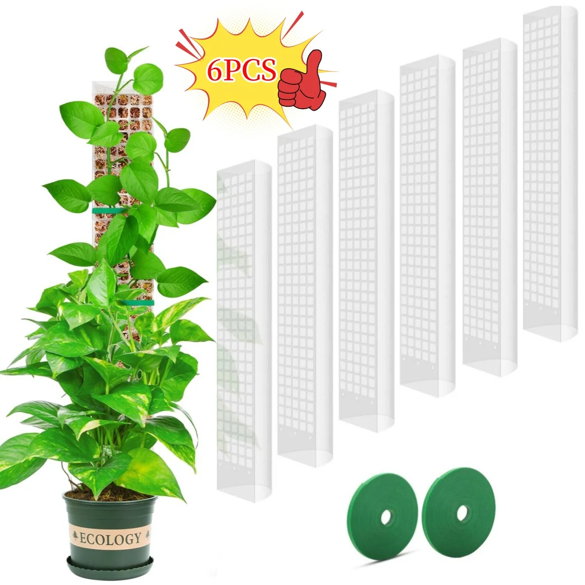 Garden Plant Support Accessories: Moss Pole & Flower Climber