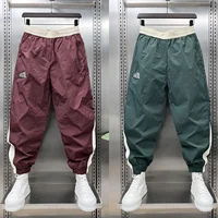 Loose Men's Sporty Casual Pants Quick Dry Youth Style Streetwear Harem Trousers Design Sensation Autumn Trendy Brand