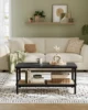 VASAGLE 2-Tier Coffee Table for Living Room, Living Room Table Rectangular Center Table, with PVC Rattan Storage Shelf 1