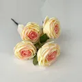  Light Yellow