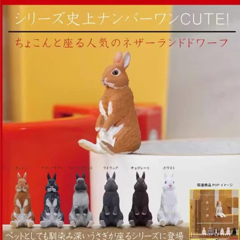 Kitan Original Gashapon Kawaii Nette Anime Sitzende Kaninchen Figur Gachapon Kapsel Spielzeug Puppe Miniatur Modell Kreative Geschenk – Detail 1