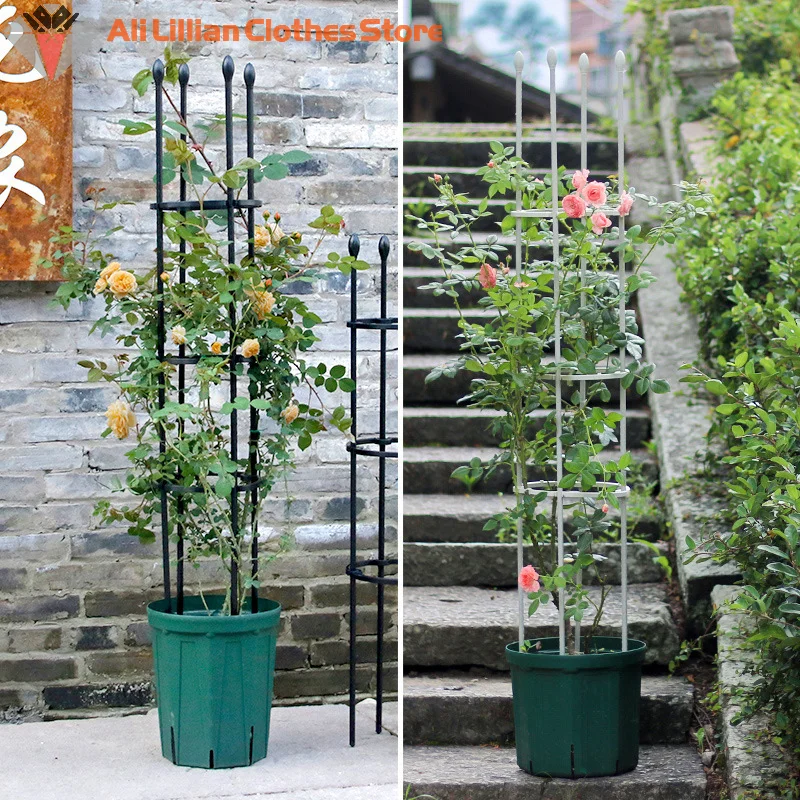 Tomato Plant Support Cages Set 2