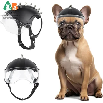 Small Dog Motorcycle Helmet 1