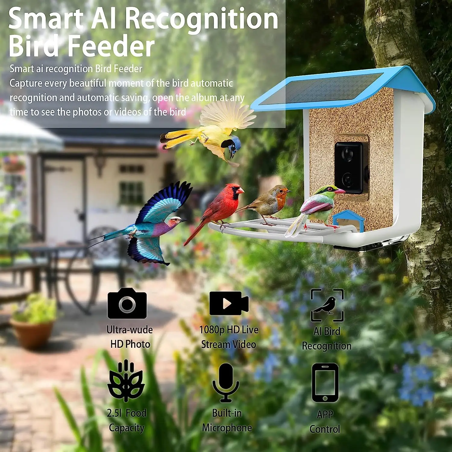 Birdfy-Mangeoire à oiseaux intelligente AI avec caméra, Abrasif AI