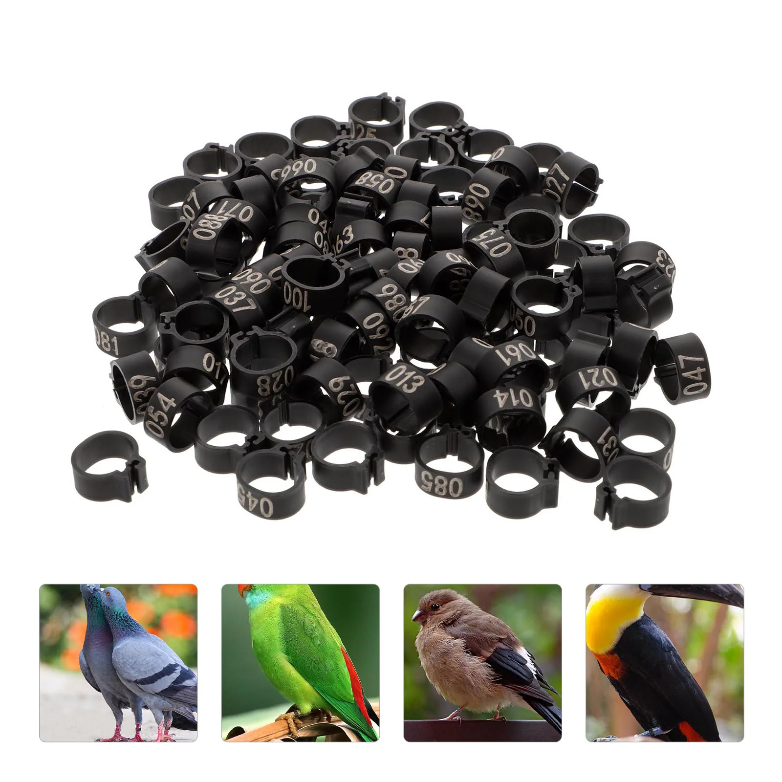 

100 Pcs Numbered Pigeon Foot Band Rings Bird Leg Rings Identification Rings