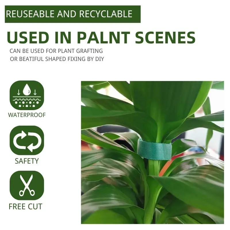 Green Garden Twine Plant Ties Nylon Plant Bandage Garden Hook Loop Bamboo Canl E Wrap Support Accessories 3 Rolls plant ties