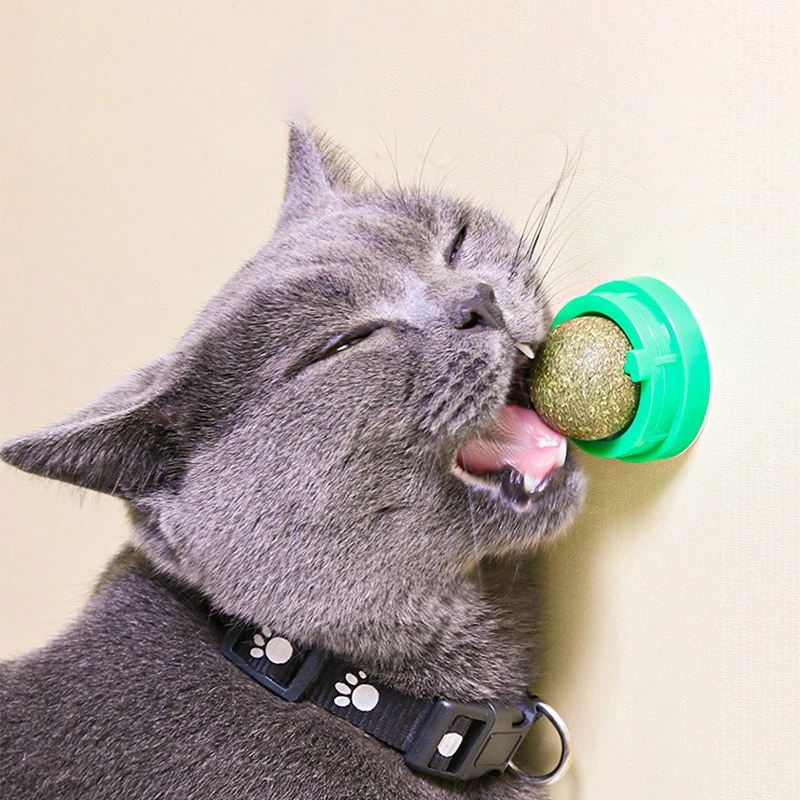 4pcs/set Catnip Ball Set Cat Treat Toys Snack Self-Adhesive Teeth Molar Catnip Ball Rotated Wall For Cat Mount Toy Natural Snack dog balls