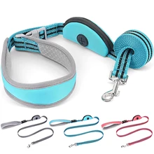 

5FT Nylon Dog Leash for Medium Small Dogs Reflective Dog Walking Leash with Poop Bag Holder Breakaway Neoprene Padded Handle