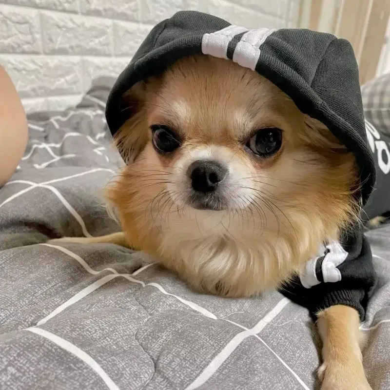Pet Clothes French Bulldog Puppy Dog Costume Jumpsuit Chihuahua Pug For Small Medium Dogs Puppy Hoodies