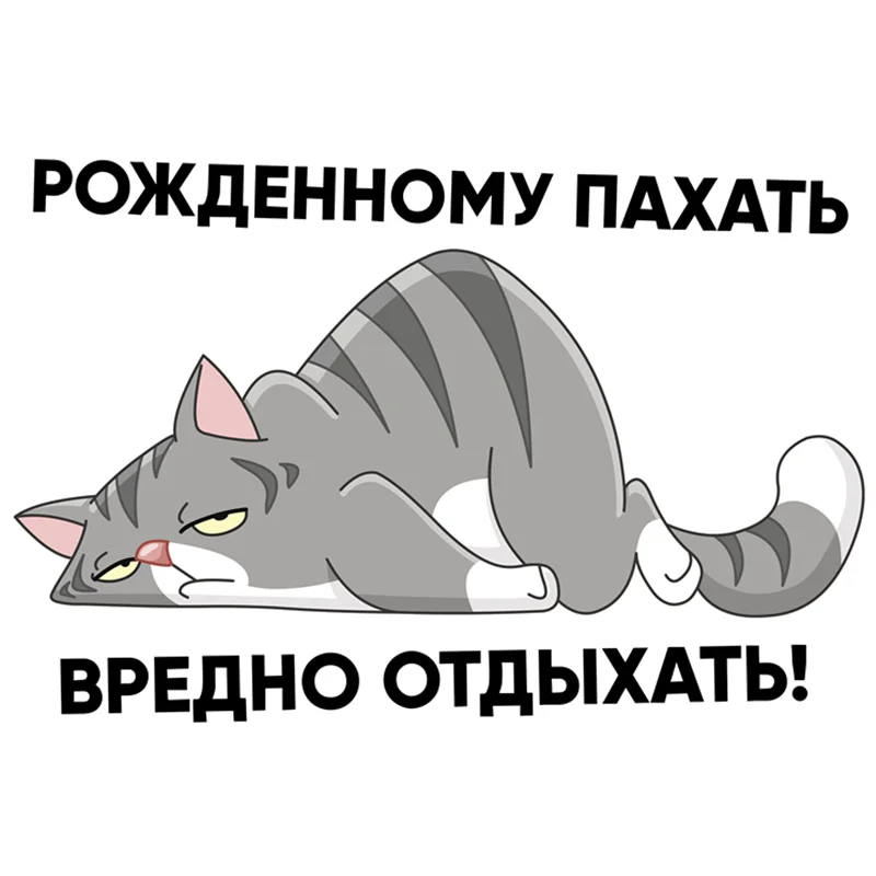 

Personalized Car Stickers Is Born for Plow-bad Rest! Creative Cartoon Cat Waterproof and Sunscreen Vinyl Decal,15CM*10CM