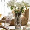 Nordic Minimalist Wind Glacier Vase Glass Transparent Flower Arrangement Rose Flower Living Room Dining Table Decoration Bottle 1