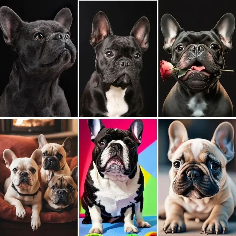 Diamond Painting 5D DIY French Bulldog Full Diamonds Cross Stitch Set Frenchie Dogs Embroidery Pictures Art