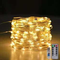 Enchanting USB - Powered LED Fairy String Lights with Remote for Indoor and Outdoor Decor (Warm White)