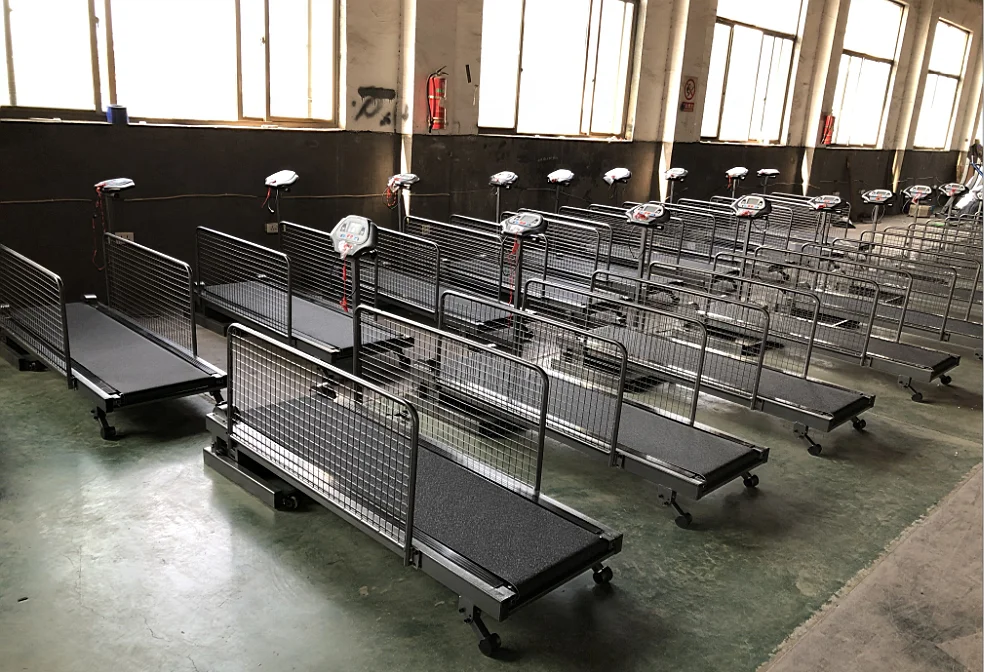 Рисунок 6 - Экономичная электронная беговая